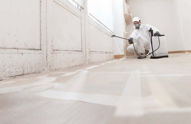 24/7 Emergency Commercial Mold Remediation experts in Washington, DC